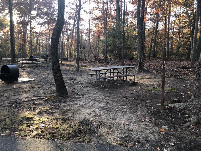 A photo of Site B77 of Loop LOOP B at GREENBELT CAMPGROUND with Picnic Table, Fire Pit