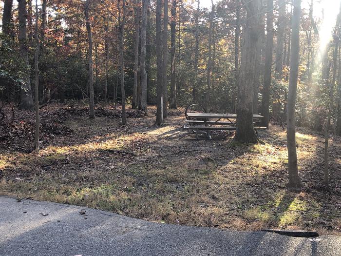 A photo of Site B70 of Loop LOOP B at GREENBELT CAMPGROUND with Picnic Table, Fire Pit