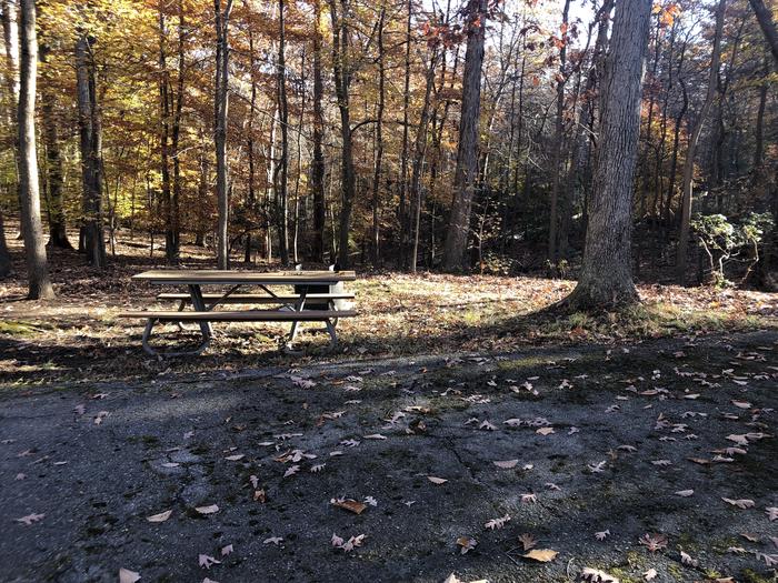 A photo of Site A07 of Loop Youth/Scout/Organized Group at GREENBELT CAMPGROUND with Picnic Table, Fire Pit