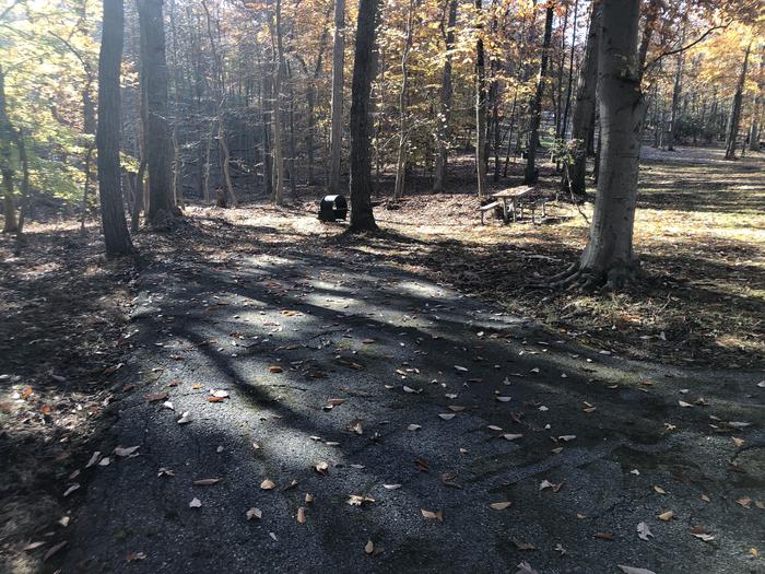 A photo of Site A10 of Loop Youth/Scout/Organized Group at GREENBELT CAMPGROUND with Picnic Table, Fire Pit