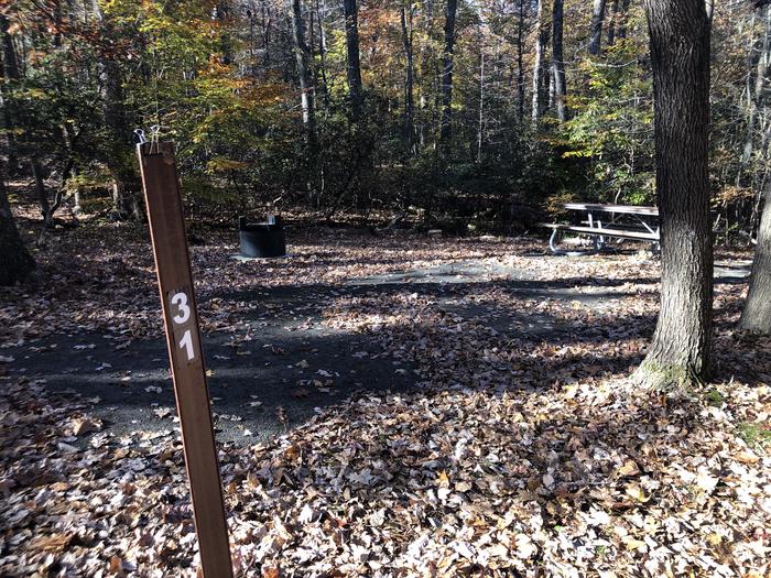 A photo of Site A31 of Loop Youth/Scout/Organized Group at GREENBELT CAMPGROUND with Picnic Table, Fire Pit