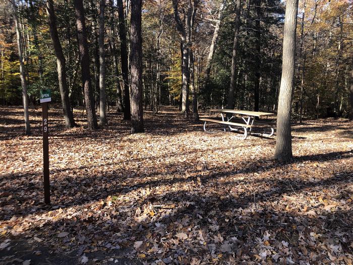 A photo of Site A29 of Loop Youth/Scout/Organized Group at GREENBELT CAMPGROUND with Picnic Table, Fire Pit