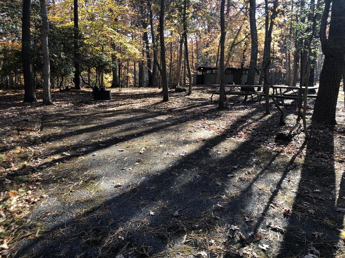 A photo of Site A24 of Loop Youth/Scout/Organized Group at GREENBELT CAMPGROUND with Picnic Table, Fire Pit