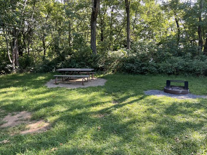 A photo of Site D131 of Loop D Loop at Loft Mountain Campground with Picnic Table, Fire Pit