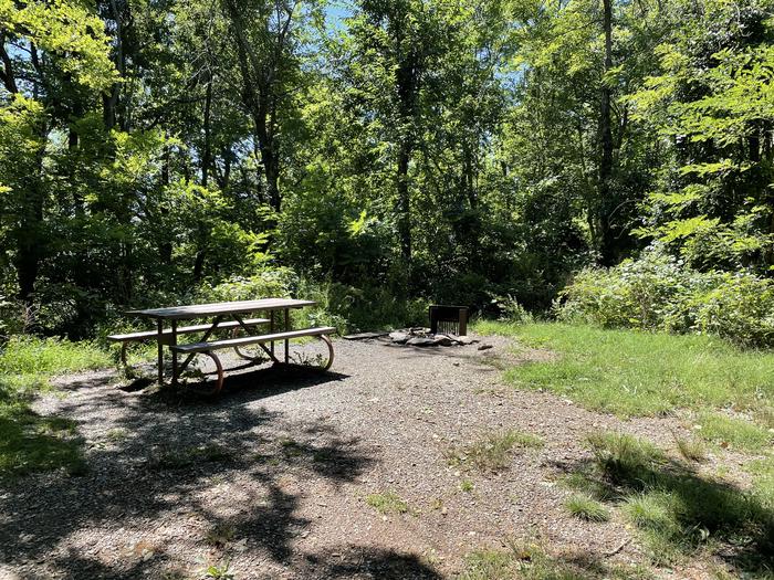 A photo of Site 041 of Loop Lower Loop at Loft Mountain Campground with Picnic Table, Fire Pit
