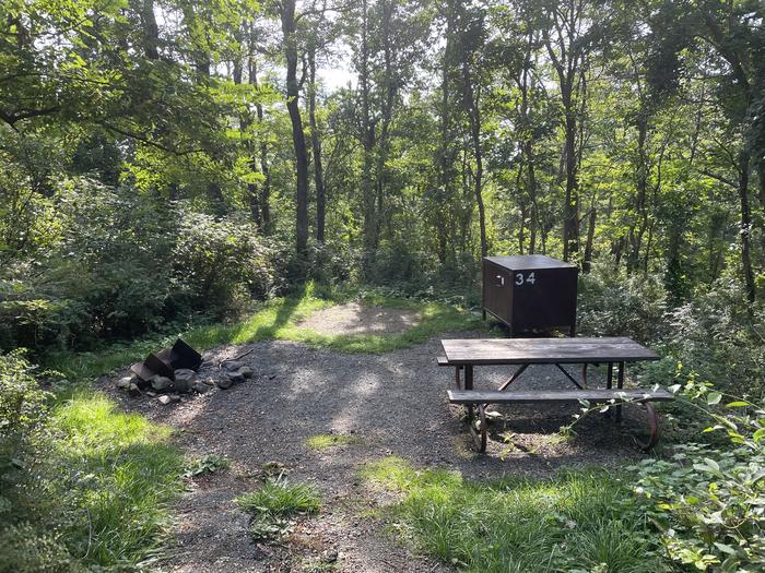 A photo of Site 034 of Loop Lower Loop at Loft Mountain Campground with Picnic Table, Fire Pit, Food Storage