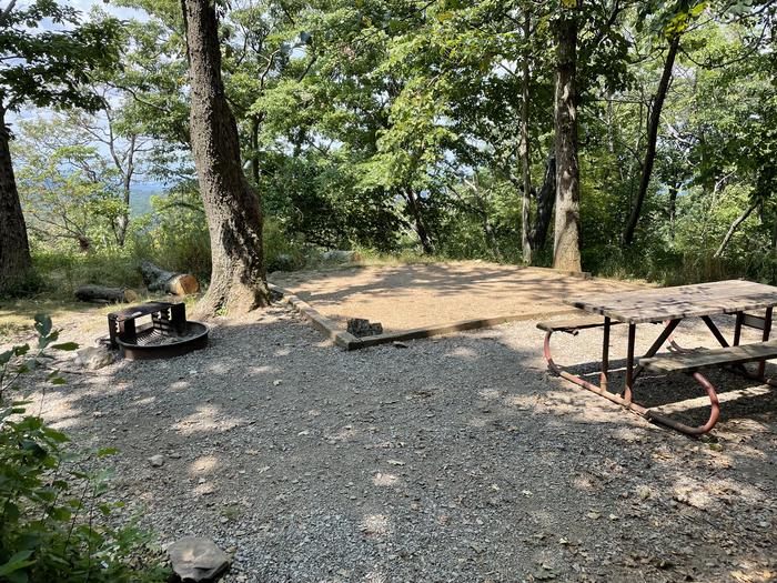 A photo of Site 019 of Loop Lower Loop at Loft Mountain Campground with Picnic Table, Fire Pit, Tent Pad