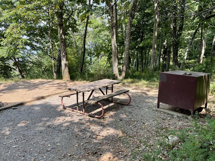 A photo of Site 019 of Loop Lower Loop at Loft Mountain Campground with Picnic Table, Food Storage