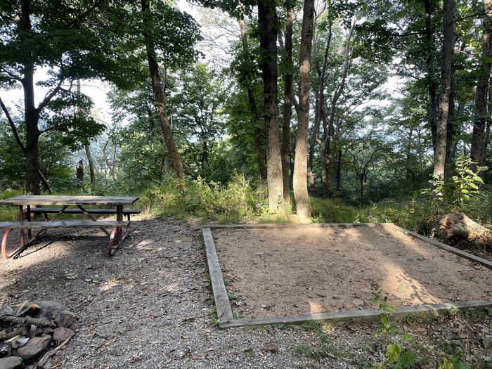 A photo of Site 017 of Loop Lower Loop at Loft Mountain Campground with Picnic Table, Fire Pit, Tent Pad