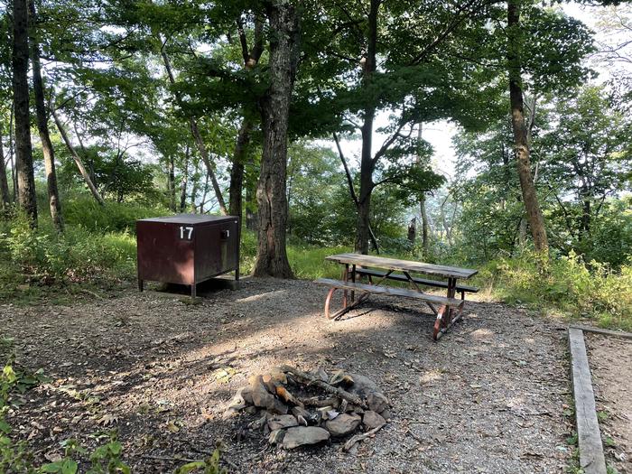 A photo of Site 017 of Loop Lower Loop at Loft Mountain Campground with Picnic Table, Fire Pit, Food Storage