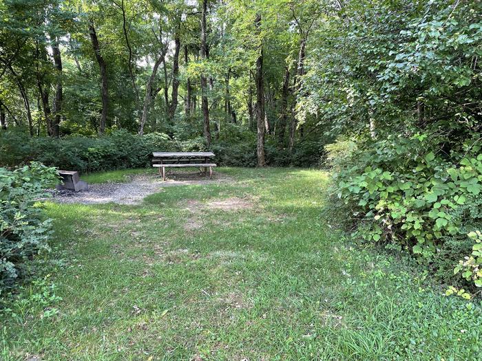 A photo of Site D125 of Loop D Loop at Loft Mountain Campground with Picnic Table, Fire Pit