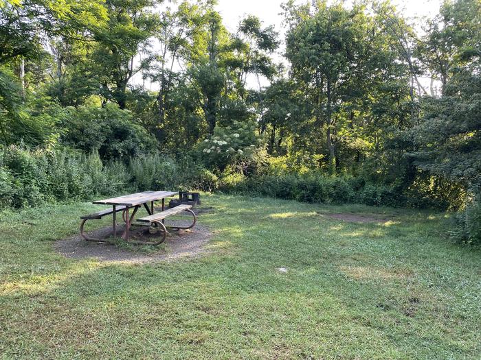 A photo of Site F173 of Loop F Loop at Loft Mountain Campground with Picnic Table, Fire Pit