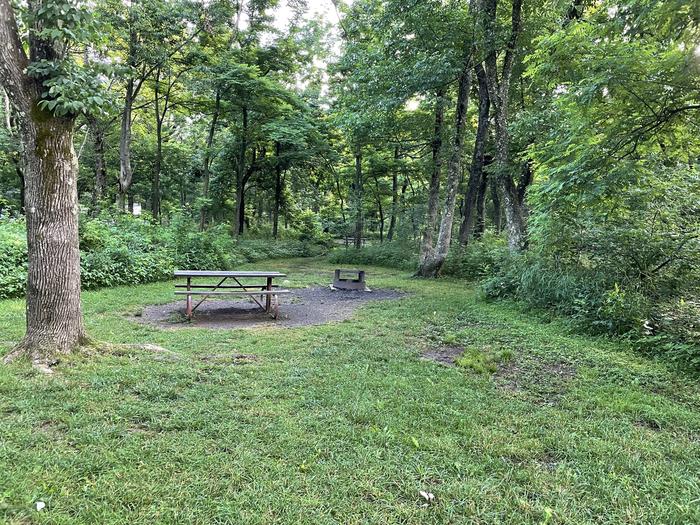 A photo of Site A065 of Loop A Loop at Loft Mountain Campground with Picnic Table, Fire Pit