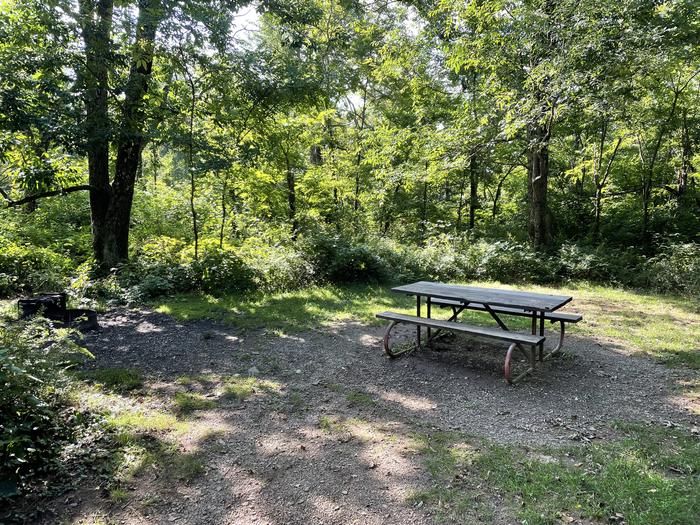 A photo of Site D127 of Loop D Loop at Loft Mountain Campground with Picnic Table, Fire Pit