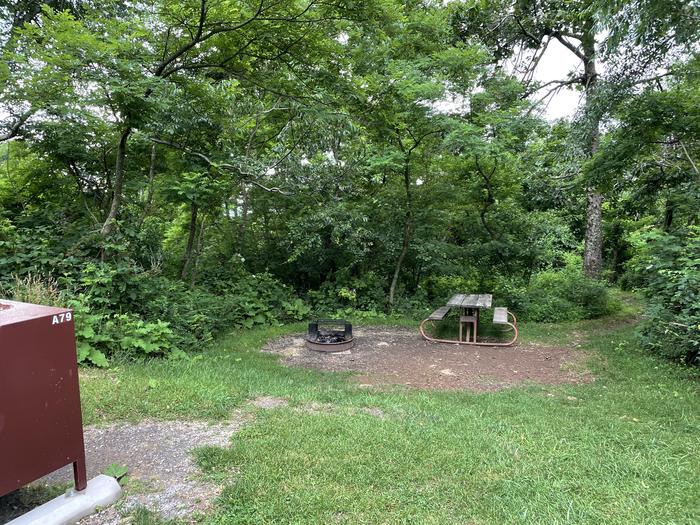 A photo of Site A079 of Loop A Loop at Loft Mountain Campground with Picnic Table, Fire Pit, Food Storage