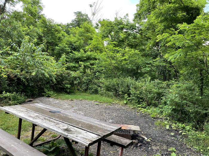 A photo of Site A077 of Loop A Loop at Loft Mountain Campground with Picnic Table, Fire Pit