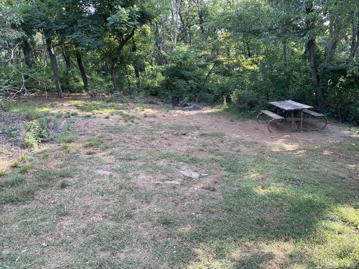 A photo of Site G201 of Loop G Loop at Loft Mountain Campground with Picnic Table, Fire Pit