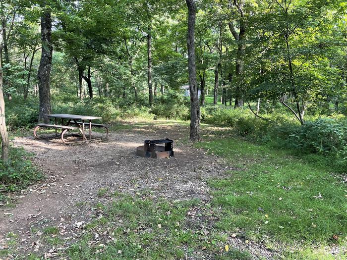 A photo of Site A067 of Loop A Loop at Loft Mountain Campground with Picnic Table, Fire Pit