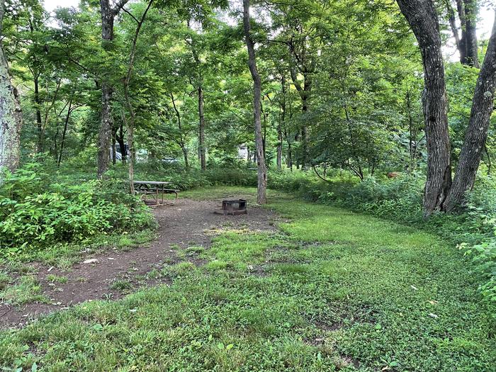 A photo of Site A067 of Loop A Loop at Loft Mountain Campground with Picnic Table, Fire Pit