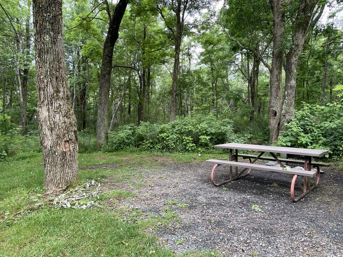 A photo of Site 029 of Loop Lower Loop at Loft Mountain Campground with Picnic Table
