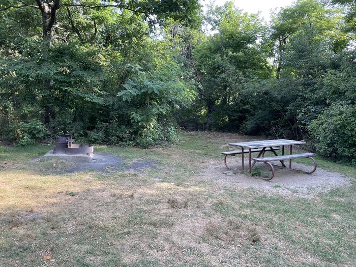 A photo of Site G207 of Loop G Loop at Loft Mountain Campground with Picnic Table, Fire Pit