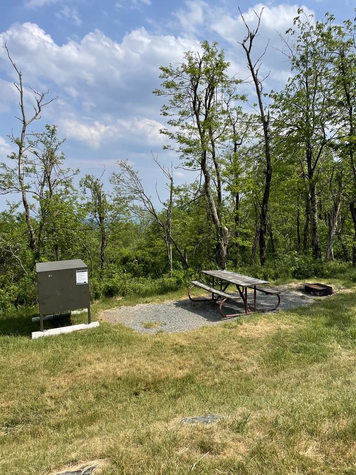 A photo of Site A037 of Loop Upper Loop at Loft Mountain Campground with Picnic Table, Fire Pit, Food Storage