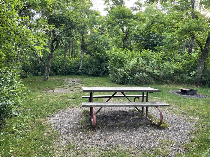 A photo of Site D116 of Loop D Loop at Loft Mountain Campground with Picnic Table, Fire Pit