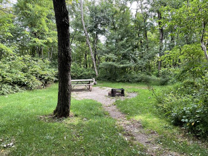 A photo of Site E154 of Loop E Loop at Loft Mountain Campground with Picnic Table, Fire Pit