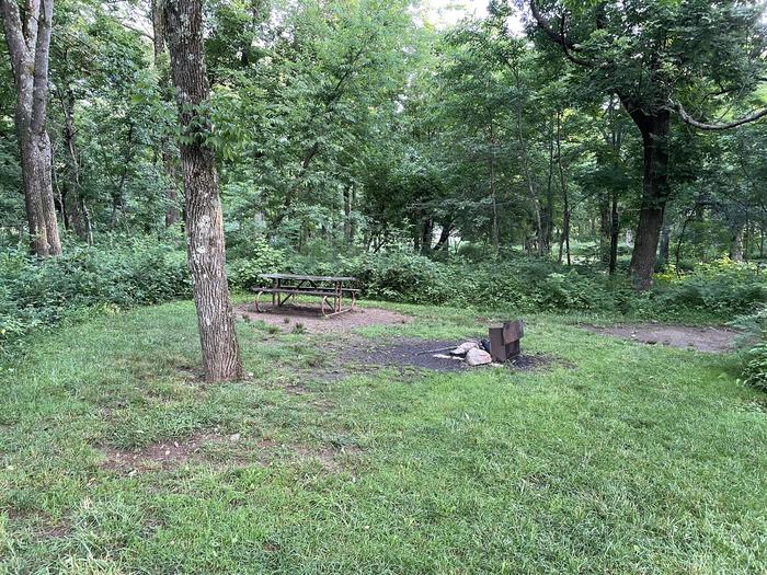 A photo of Site A069 of Loop A Loop at Loft Mountain Campground with Picnic Table, Fire Pit