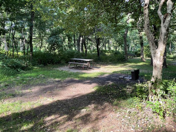 A photo of Site B088 of Loop B Loop at Loft Mountain Campground with Picnic Table, Fire Pit