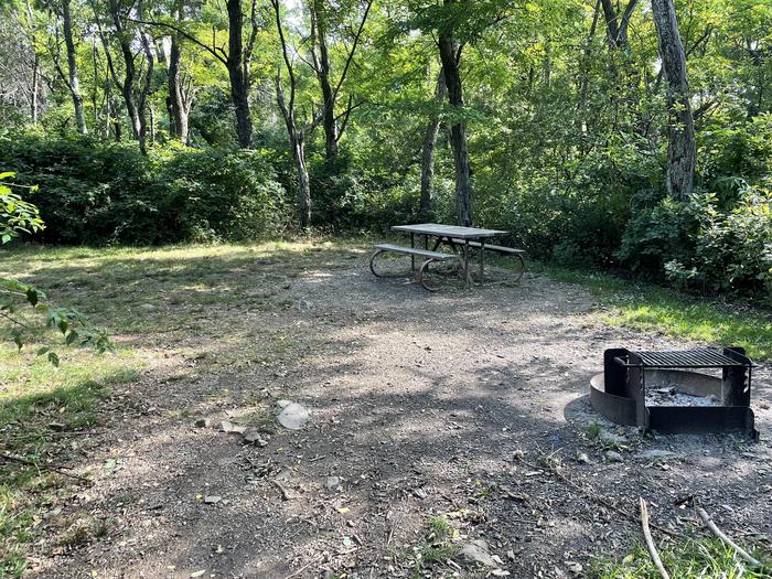 A photo of Site D120 of Loop D Loop at Loft Mountain Campground with Picnic Table, Fire Pit