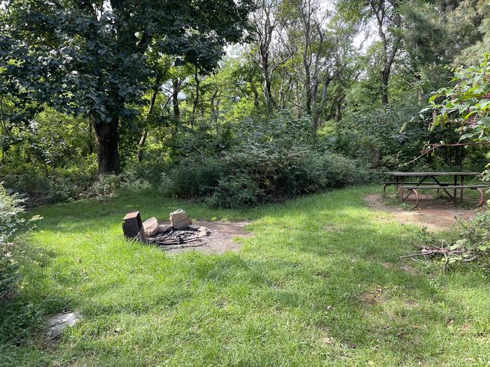 A photo of Site G206 of Loop G Loop at Loft Mountain Campground with Picnic Table, Fire Pit