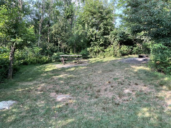 A photo of Site G200 of Loop G Loop at Loft Mountain Campground with Picnic Table, Fire Pit
