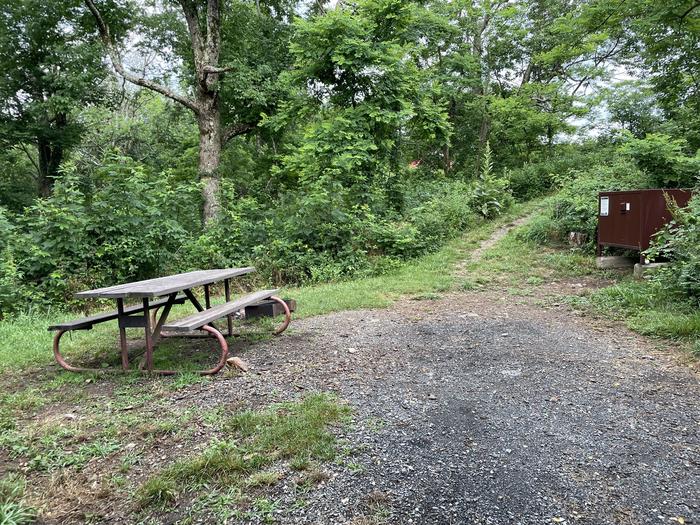 A photo of Site 027 of Loop Lower Loop at Loft Mountain Campground with Picnic Table, Fire Pit, Food Storage