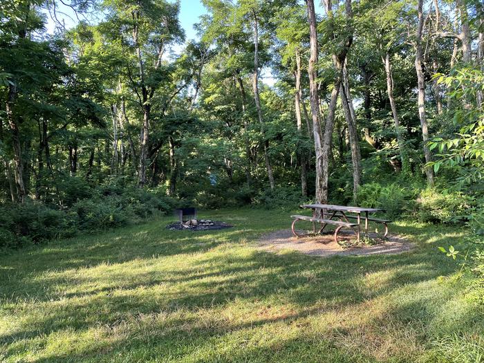 A photo of Site F172 of Loop F Loop at Loft Mountain Campground with Picnic Table, Fire Pit