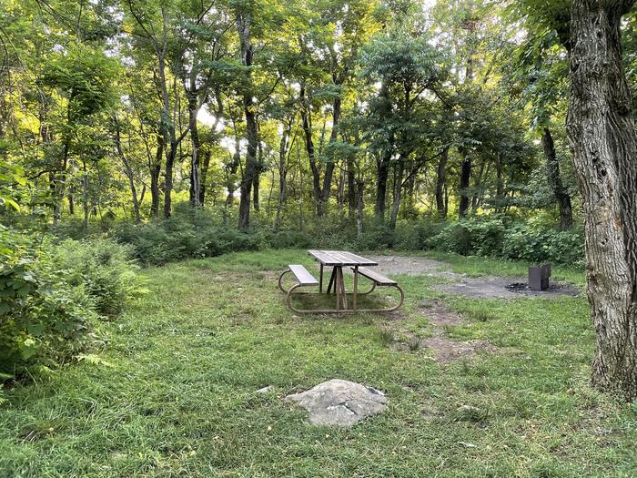 A photo of Site E146 of Loop E Loop at Loft Mountain Campground with Picnic Table, Fire Pit