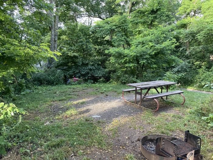 A photo of Site 021 of Loop Lower Loop at Loft Mountain Campground with Picnic Table, Fire Pit