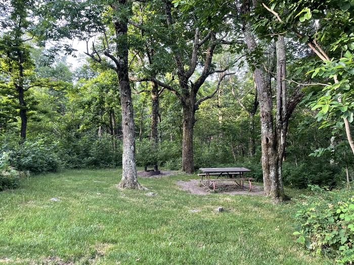 A photo of Site C099 of Loop C Loop at Loft Mountain Campground with Picnic Table, Fire Pit