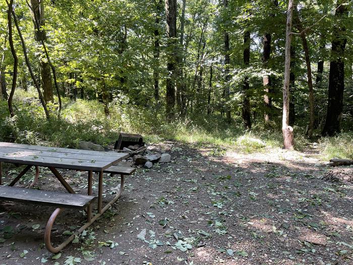 A photo of Site 011 of Loop Upper Loop at Loft Mountain Campground with Picnic Table, Fire Pit
