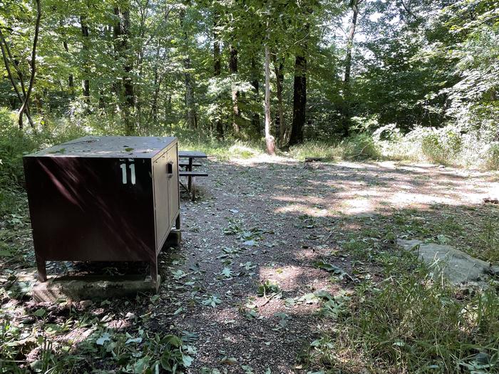 A photo of Site 011 of Loop Upper Loop at Loft Mountain Campground with Picnic Table, Food Storage, Tent Pad