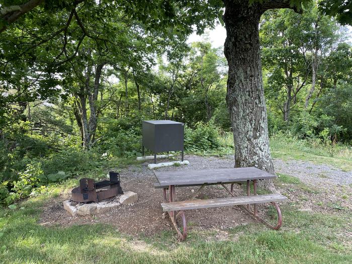 A photo of Site 048 of Loop Lower Loop at Loft Mountain Campground with Picnic Table, Fire Pit