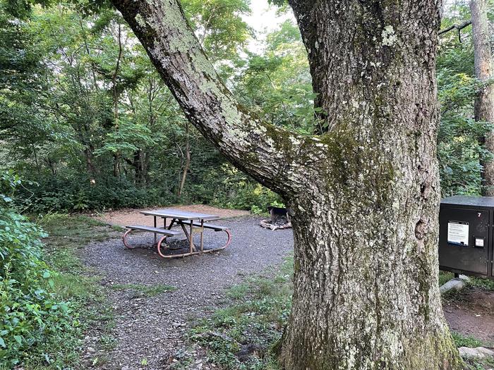 A photo of Site 007 of Loop Upper Loop at Loft Mountain Campground with Picnic Table, Fire Pit, Shade, Food Storage