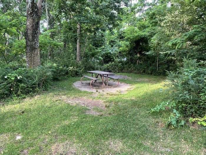 A photo of Site D117 of Loop D Loop at Loft Mountain Campground with Picnic Table, Fire Pit
