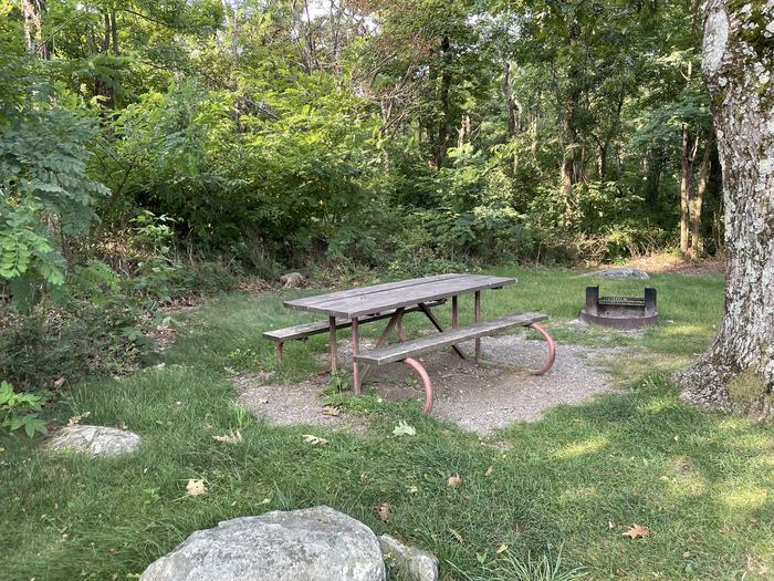 A photo of Site G191 of Loop G Loop at Loft Mountain Campground with Picnic Table, Fire Pit