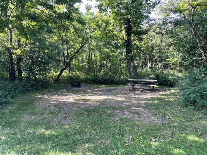 A photo of Site D123 of Loop D Loop at Loft Mountain Campground with Picnic Table, Fire Pit