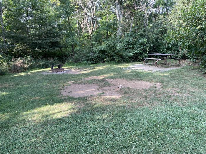 A photo of Site G202 of Loop G Loop at Loft Mountain Campground with Picnic Table, Fire Pit