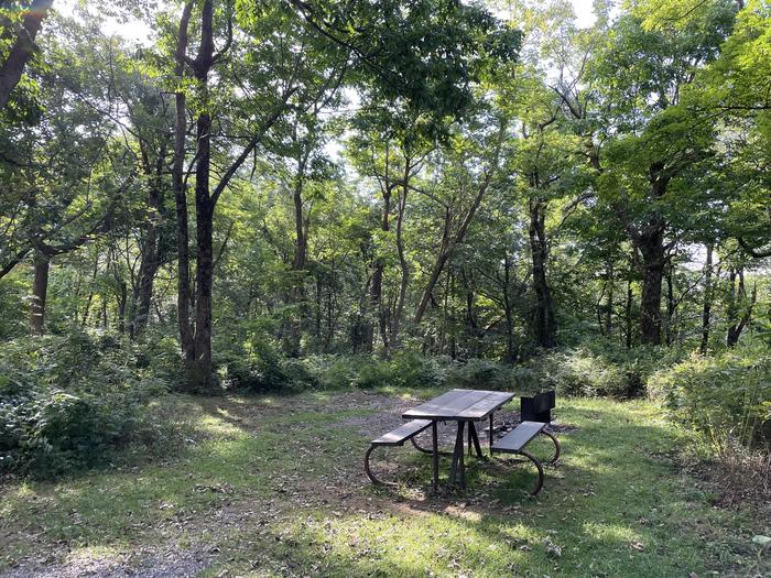 A photo of Site A068 of Loop A Loop at Loft Mountain Campground with Picnic Table, Fire Pit