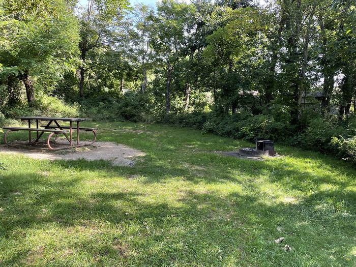 A photo of Site D124 of Loop D Loop at Loft Mountain Campground with Picnic Table, Fire Pit