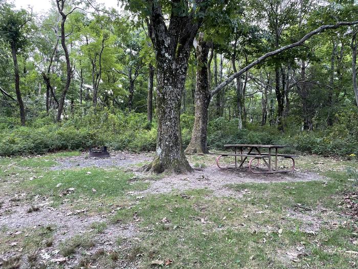 A photo of Site G182 of Loop G Loop at Loft Mountain Campground with Picnic Table, Fire Pit