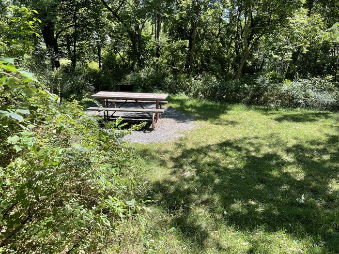 A photo of Site A039 of Loop Upper Loop at Loft Mountain Campground with Picnic Table, Fire Pit